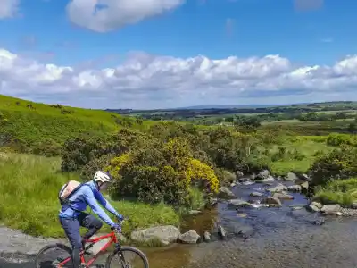 V anglicku bez kolobky