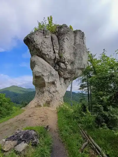 Stratený budzogáň