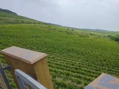 Veľká a Malá Trňa