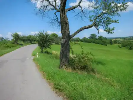 Z Budče na Sitno