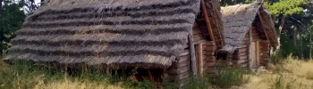 Molpír