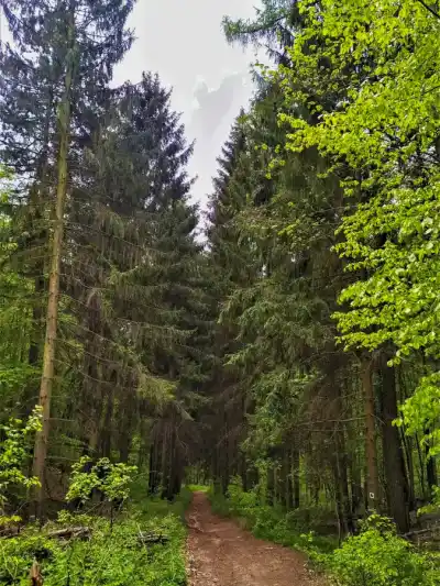 Cesta k Dobrovodskému hradu