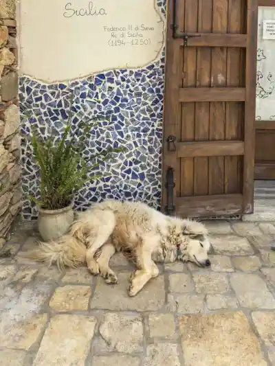 Ospalý život Sicílie