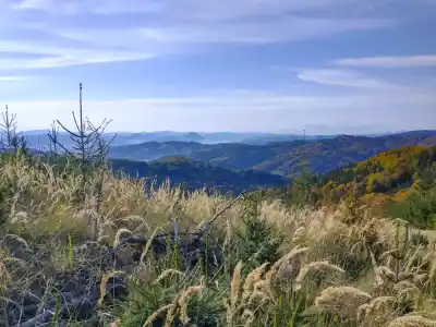 Výhľady zo Zarúbanej Kýčery