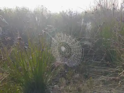 Rozhľadňa Svederník