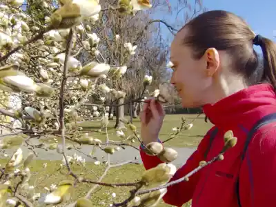 Kaštieľ v Lednických Rovniach