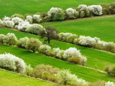 Výhľady z rozhľadne Akátová věž