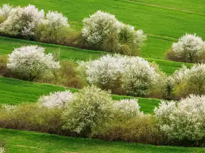 Výhľady na Pálavu