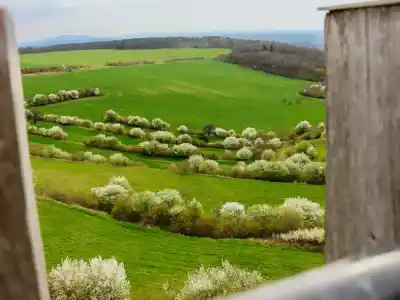 Výhľady na Pálavu