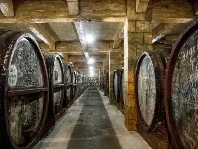 Noy Distillery Jerevan