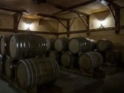 Tbilisi Saraischvili distillery