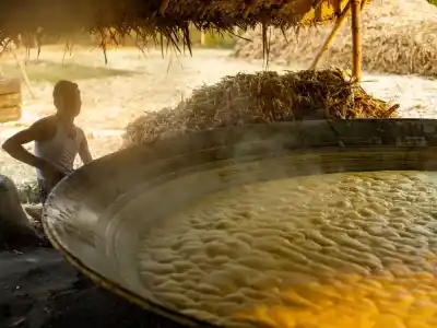 Putovanie po juhu Indie