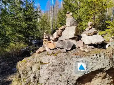 Smrekovica v pohorí Branisko