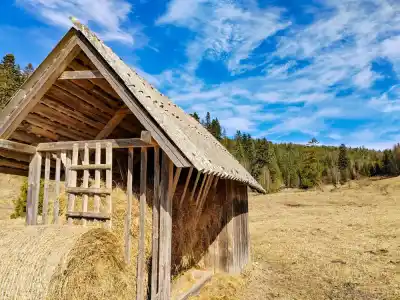 Výstup na Smrekovicu