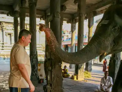 Požehnanie od slona