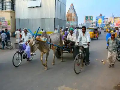 Tiruvannamalai: V uliciach svätého mesta