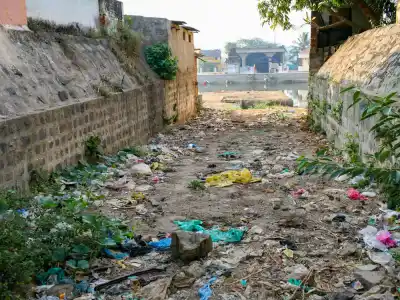 Medzi bohmi a odpadkami