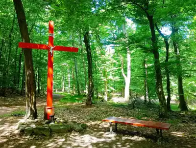 Túra zo Svätého Jura cez Biely kríž do Rače