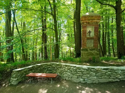 Túra zo Svätého Jura cez Biely kríž do Rače