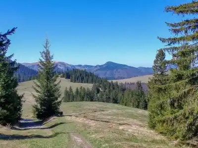 Prírodná rezervácia Smrekovica