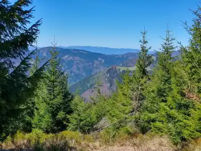 Veľkofatranská Smrekovica