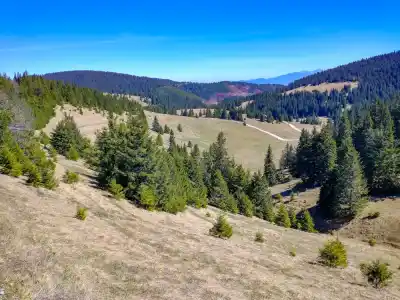 Prírodná rezervácia Smrekovica