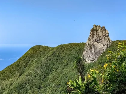 Roque Anambro