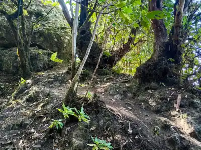 Anaga trails
