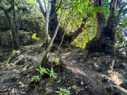 Anaga trails