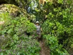 Anaga trails