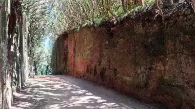 Las Bodegas Tenerife