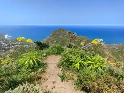 Roque Negro tenerife