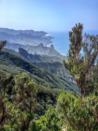 Anaga Trail