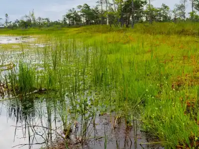 národný park Kemeri