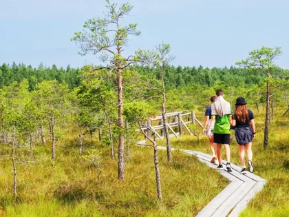Kemeri Bog