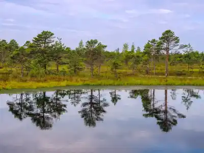 národný park Kemeri