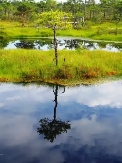 národný park Kemeri
