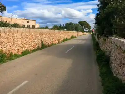 Ploty ako veterné zábrany