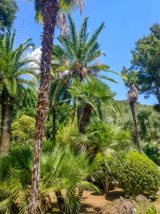 Jardines D´Alfabia