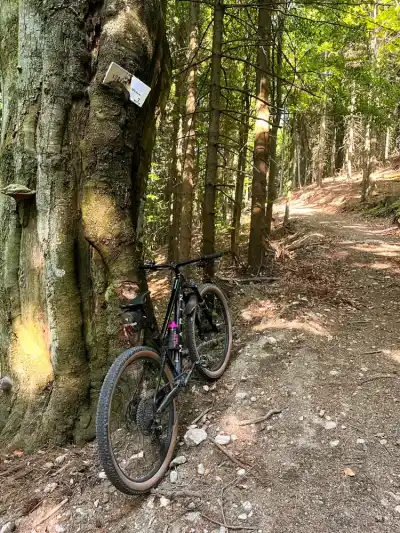 Stúpanie na Minšol