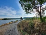 Dobronivský rybník