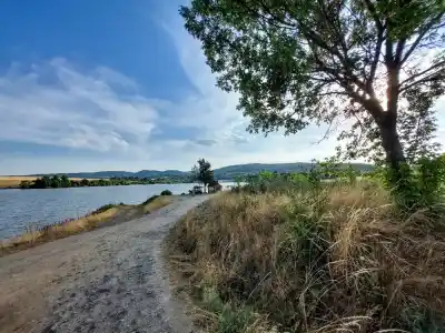 Dobronivský rybník