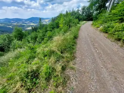 Stúanie na sásovú