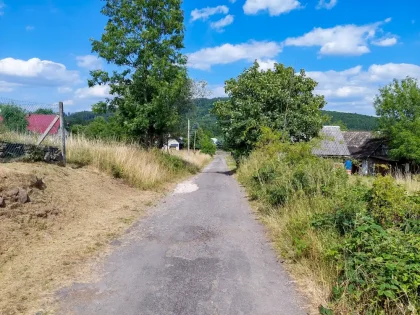 Zaježová