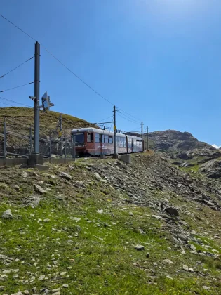 Zubačka