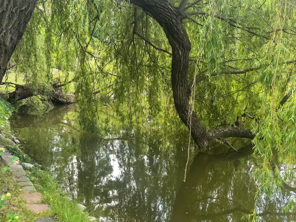 Park Ujazdovsky