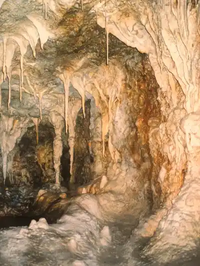 Mine Eyes Bees Deceive