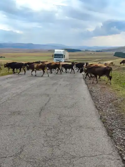 Gruzínska cestná epopeja