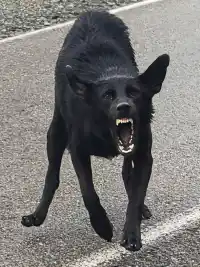 mesto plné kontrastov