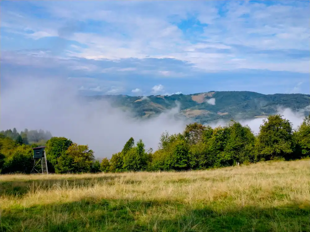 Rozhľadňa na Hladkom vrchu